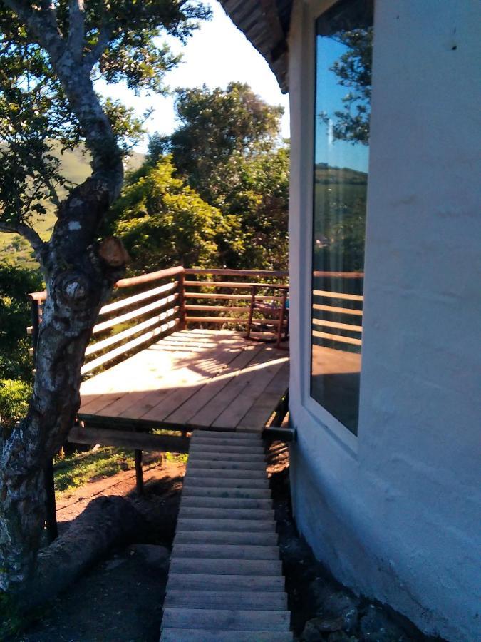 Wildview Self Catering Cottages Coffee Bay, Breakfast & Wi-Fi Inc Экстерьер фото