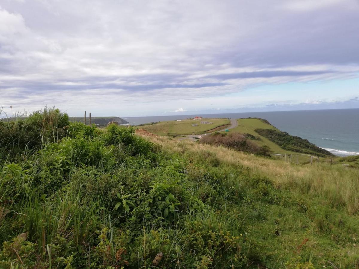 Wildview Self Catering Cottages Coffee Bay, Breakfast & Wi-Fi Inc Экстерьер фото